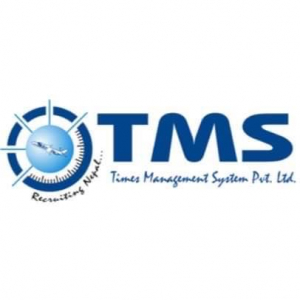 Times Manpower