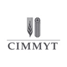 The International Maize and Wheat Improvement Center(CIMMYT)