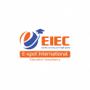 Senior Accountant